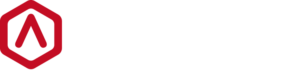 raise 3d logo