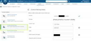Content naming rules in the 3DEXPERIENCE platform